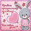 ���� ��������, �������, 53 ���� - ��������� 31 ��� 2023 � ������ ���� ����������