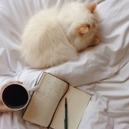 Dnevnik, ������, 36 ���