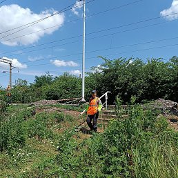 �����, ����, 35 ���