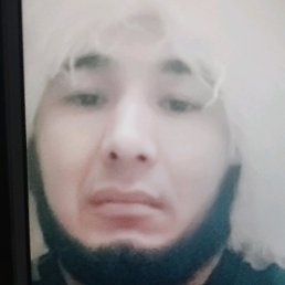 ������, ����, 41 ���