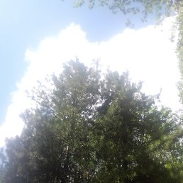 ����, �����, 52 ����