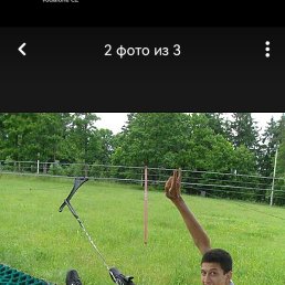 ��������, �������, 31 ���