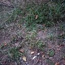 ���� ���������, ����, 46 ��� - ��������� 16 ������� 2023