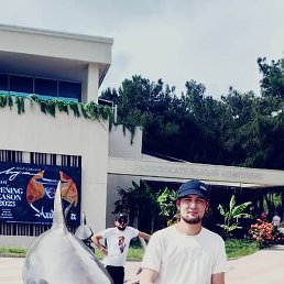 ���, ���������, 37 ���