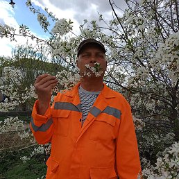 ������, ������ ��������, 53 ����