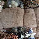 ���� �����, �����, 46 ��� - ��������� 21 ������� 2023