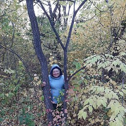 ��������, �����������, 62 ����