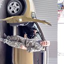  ,  , 55  -  13  2023    