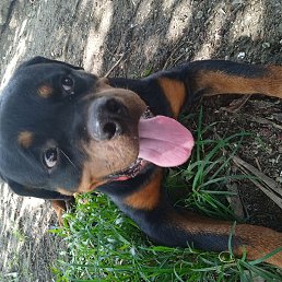 Jnfjf, ������, 31 ���