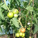 ���� �������, ������������ - ��������� 17 ���� 2023 � ������ ������