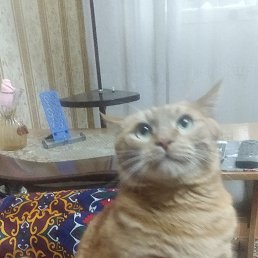 ���� ��������, �����, 50 ��� - ��������� 21 ����� 2023