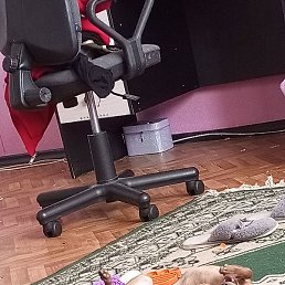 �����, �������, 38 ���