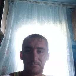 �����, �����������, 36 ���