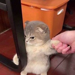 ���� Soliha, �������, 26 ��� - ��������� 1 ����� 2023