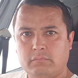 ������, ������, 41 ���