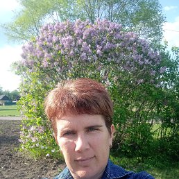 ���� ����, ��������, 45 ��� - ��������� 6 ������� 2023