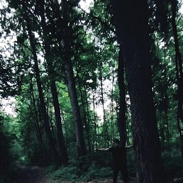 �����, ������, 32 ����