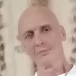 ������, �������, 55 ���