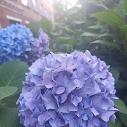 ���� ����, ���������, 41 ��� - ��������� 5 ������� 2023