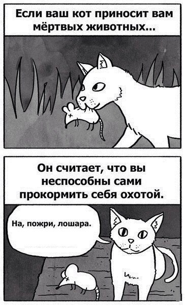 Discovery - 21  2023  13:24