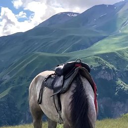 ������, ����������, 20 ���