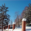 ���� ������, ������, 46 ��� - ��������� 7 ������� 2023 � ������ ���� ����������