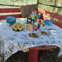 ���� ������, ������, 43 ���� - ��������� 21 ������ 2023