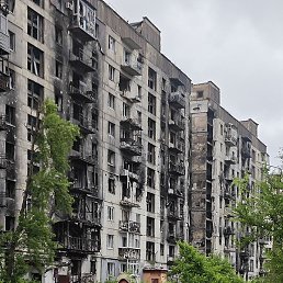 �����, �������, 36 ���