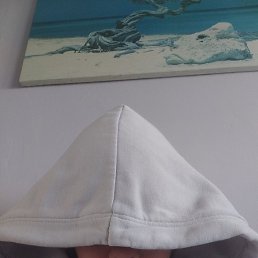 Violetta, �������, 20 ���