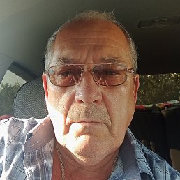 �������, ���������, 66 ���