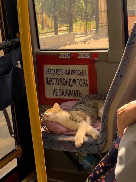 - 13  2023  14:09