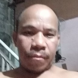 Edilbertp, ������, 49 ���