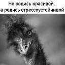 ���� �������, ������ �������� - ��������� 30 ������ 2023 � ������ ���� ����������