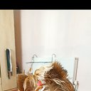 ���� ����, ������������, 49 ��� - ��������� 16 ���� 2023