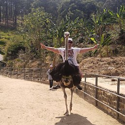 �������, ������, 49 ���