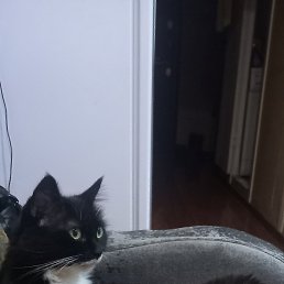 ���� ������, �����-���������, 43 ���� - ��������� 27 ������ 2023