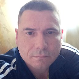 ����, ������, 40 ���