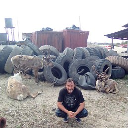 �������, �����������, 54 ����