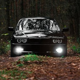 �������, �������, 39 ���