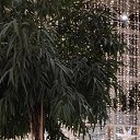 ���� �����, �����������, 51 ��� - ��������� 6 ����� 2023 � ������ ���� ����������