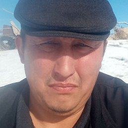 ������, �������, 40 ���