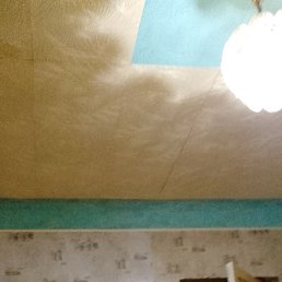 ����, ������, 41 ���