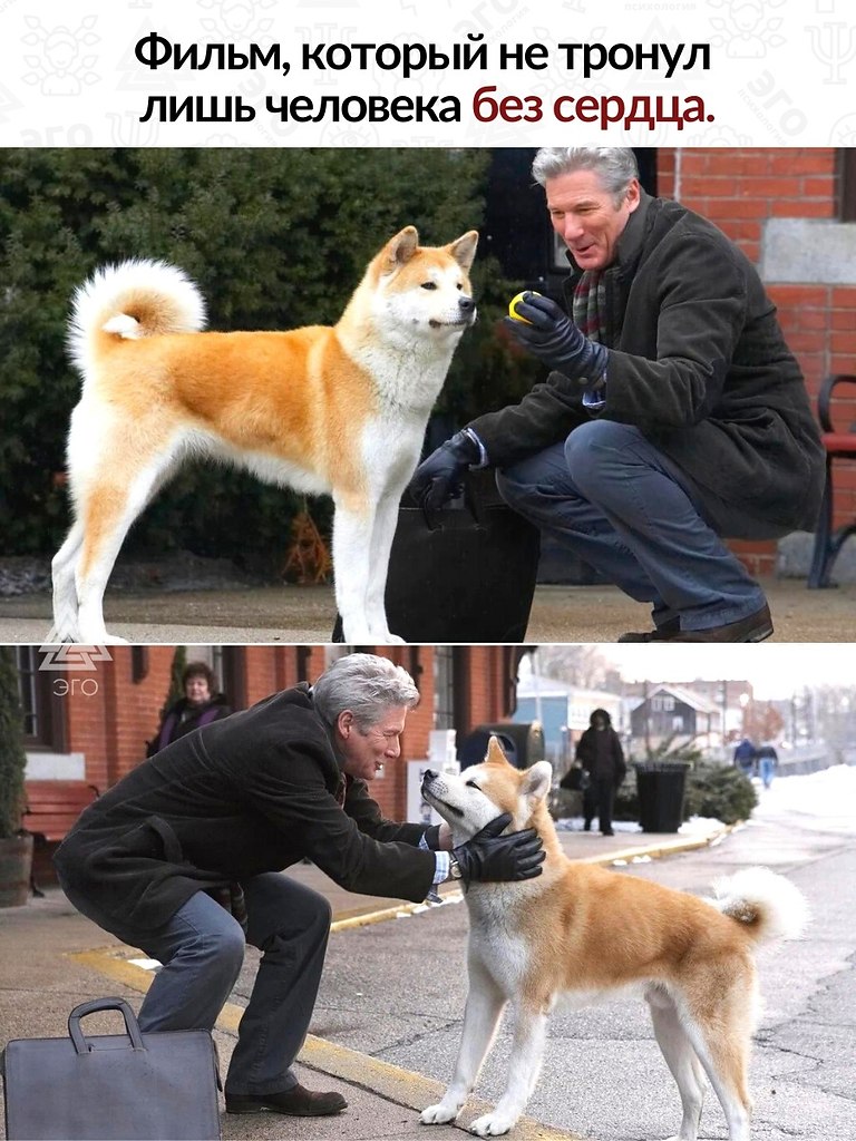     ,       .  ...