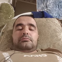 ������, 38 ���, ���������