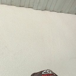 ������, ������, 42 ����