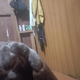 ���� Arkar, �������, 38 ��� - ��������� 30 ������� 2023