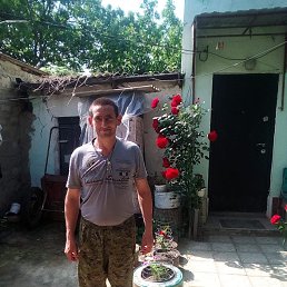 ���� �������, ���������, 43 ���� - ��������� 27 ���� 2023