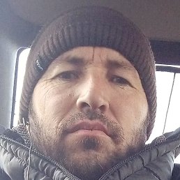 ���, �������, 41 ���