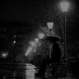 ������, �������, 29 ���