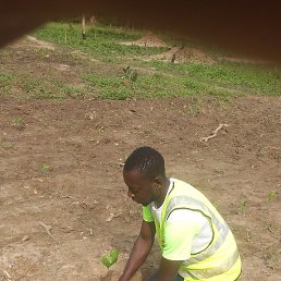 Ib, �����������, 36 ���